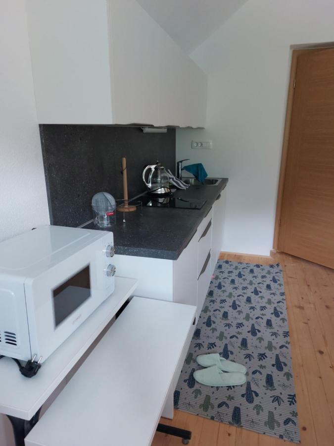 Apartma Sava-Stol Jesenice Exterior foto